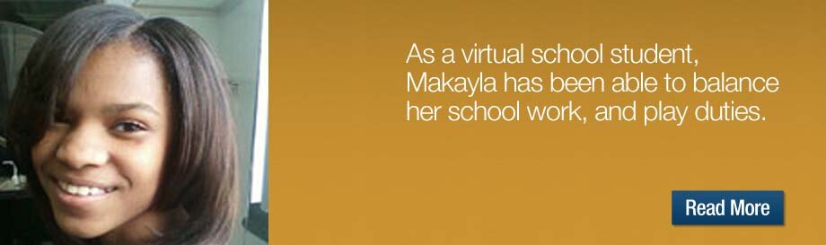 As a Virtual Student